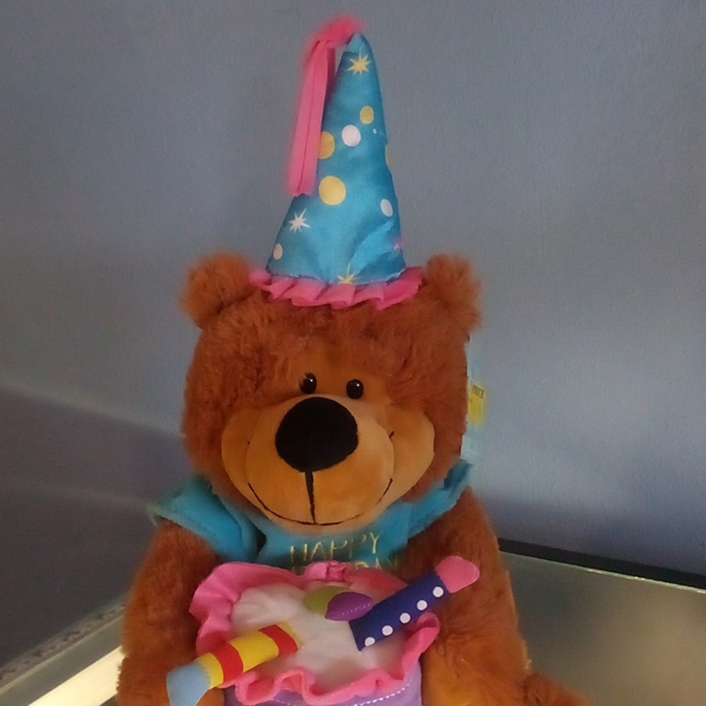 Teddy bear